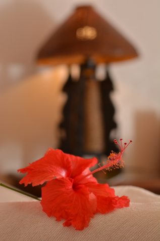 “Your Comfort is Our Concern” – Hibiscus Garden Inn