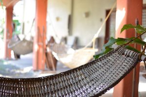 Classic Room | Hibiscus Garden Inn