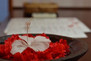 Classic Room | Hibiscus Garden Inn