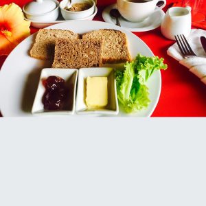 Hibisicus Garden Continental