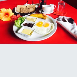 Hibiscus European Breakfast