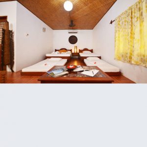 Family Room Hibiscus Garden Inn