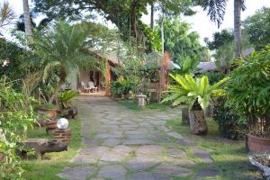 A lush of green trees in Hibiscus Garden Inn