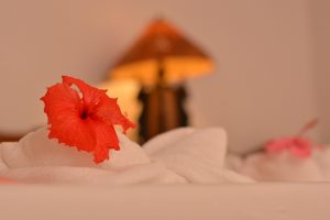 Queen Room | Hibiscus Garden Inn